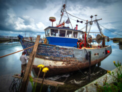 Restoration. Newlyn