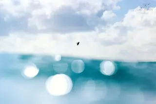 93 copy 2.jpg