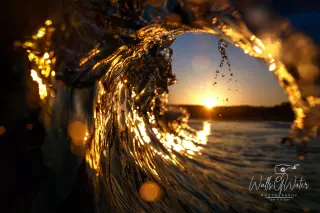 Liquid Gold