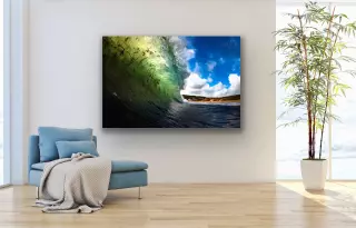 IMGSeaweed GreenJPG