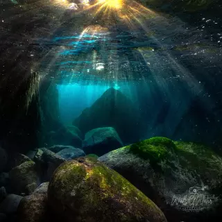 Rinsey Rays