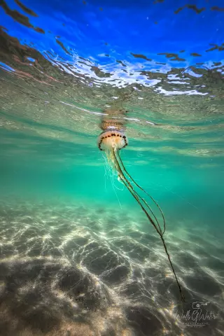 In the deep end